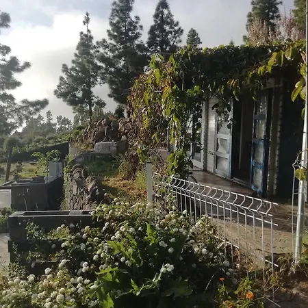 Campingplads Forest House Tijarafe *